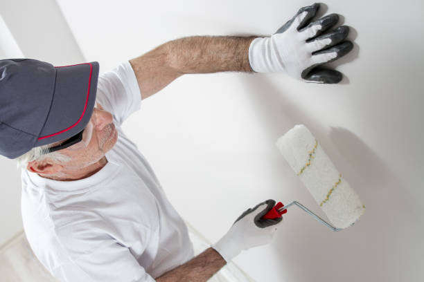 Best Mold Odor Removal Services  in Jupiter Farms, FL