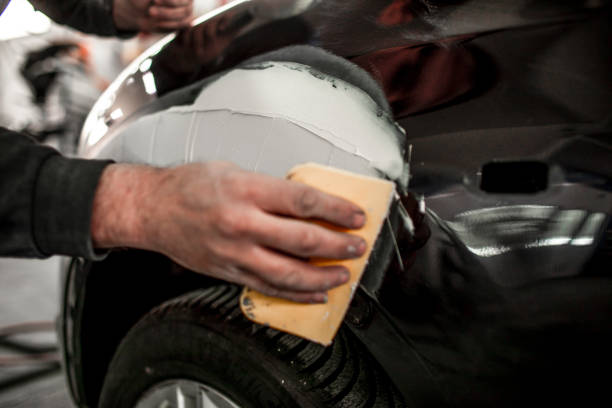 Best Mold Damage Restoration  in Jupiter Farms, FL