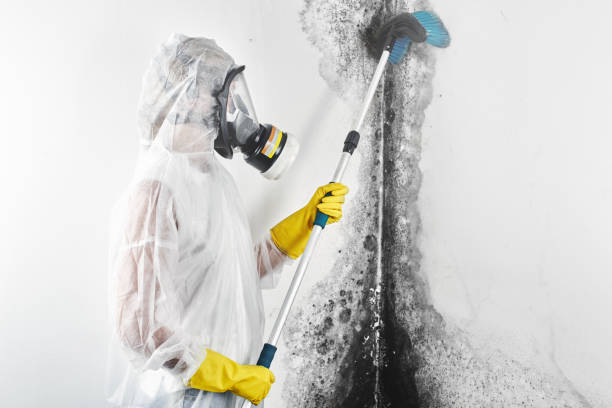 Best Commercial Mold Inspection  in Jupiter Farms, FL