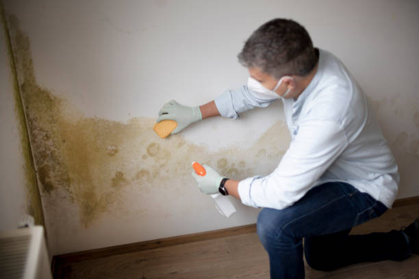 Mold Remediation for Vacation Homes in Jupiter Farms, FL