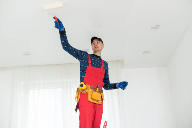 Best Black Mold Removal  in Jupiter Farms, FL