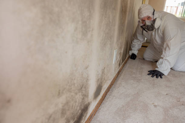 Best Crawl Space Mold Remediation  in Jupiter Farms, FL
